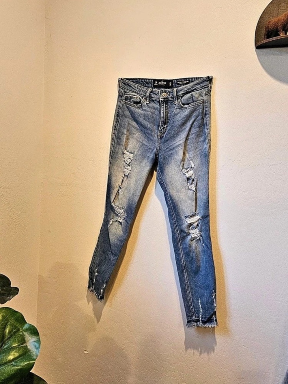 Hollister skinny jeans Distressed in Blue Waist 26